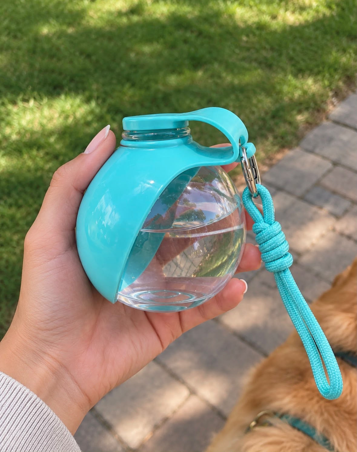 Pawflow 2-in-1 Dog Water Bottle Transparent